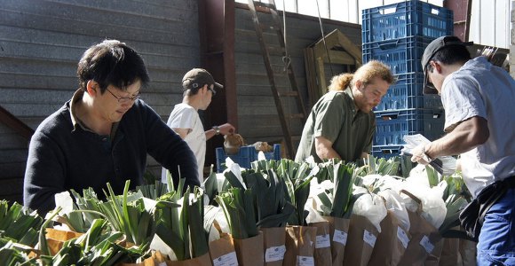 Get your organic vegetables & fruit box every week @ l'Amour Fou.