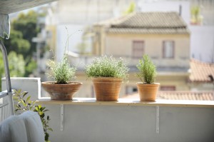 Live in Athens